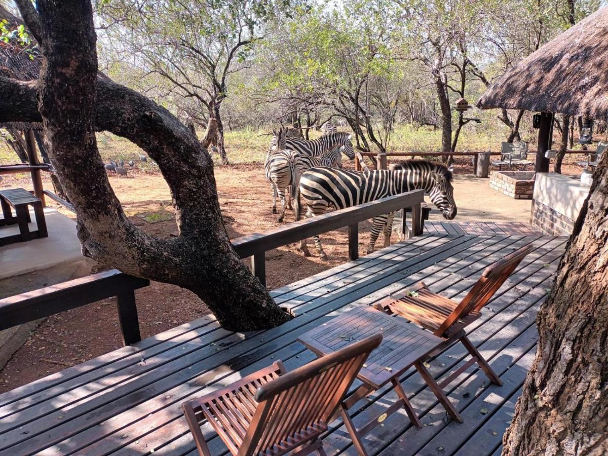 South Safari Lodge มาร์ลอทพาร์ค ภายนอก รูปภาพ